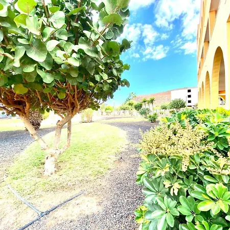 Apartamento Vista A La Piscina, Cerca De Playa, Tenerife Sur Costa Del Silencio